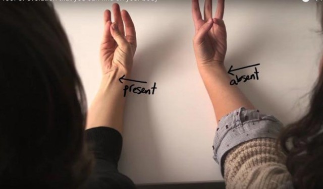 Простой способ узнать есть ли в ваших руках эти мышцы, и что означает их наличие