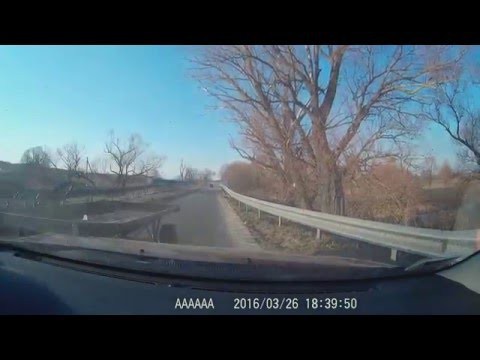 ДТП с конем