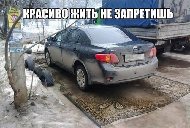 Свежая подборка автоприколов