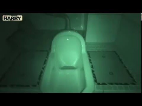 Ночной гость или кто бывает в вашем туалете по ночам