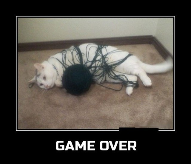 Подборка Демотиваторов