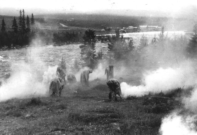 Газовая атака