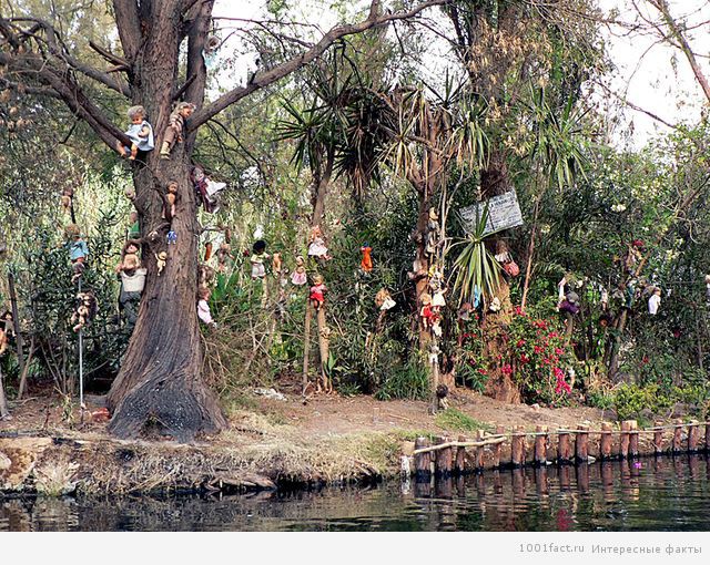 Об Острове кукол