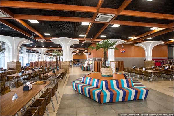 Артековская столовка