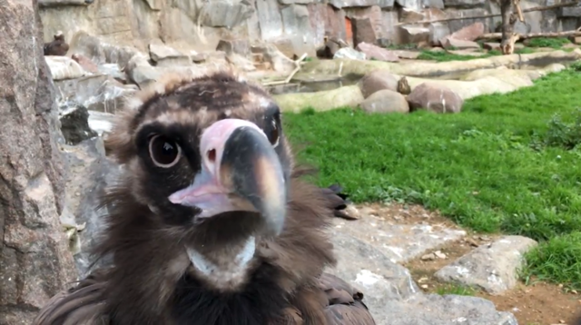 Московский зоопарк