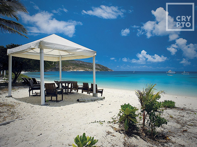 Интертнет-листовка из островов зелёных черепашек №82