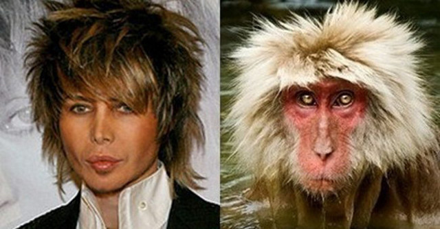 Ну разве они не похожи?