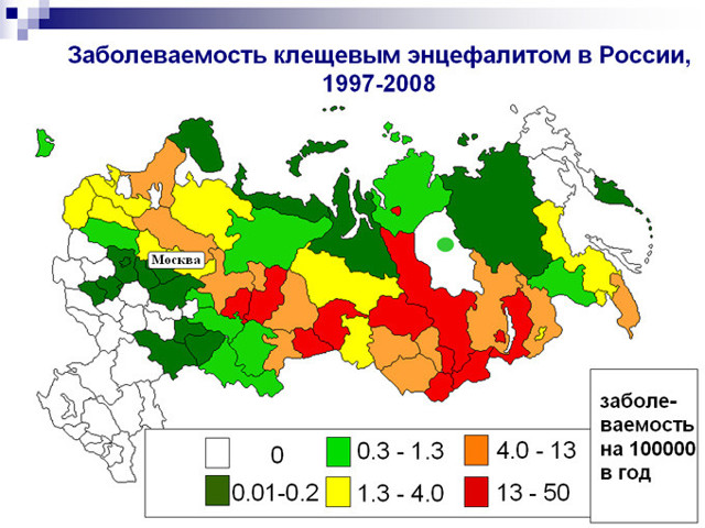 Клещи атакуют
