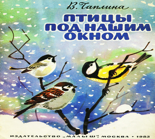 Птицы под нашим окном