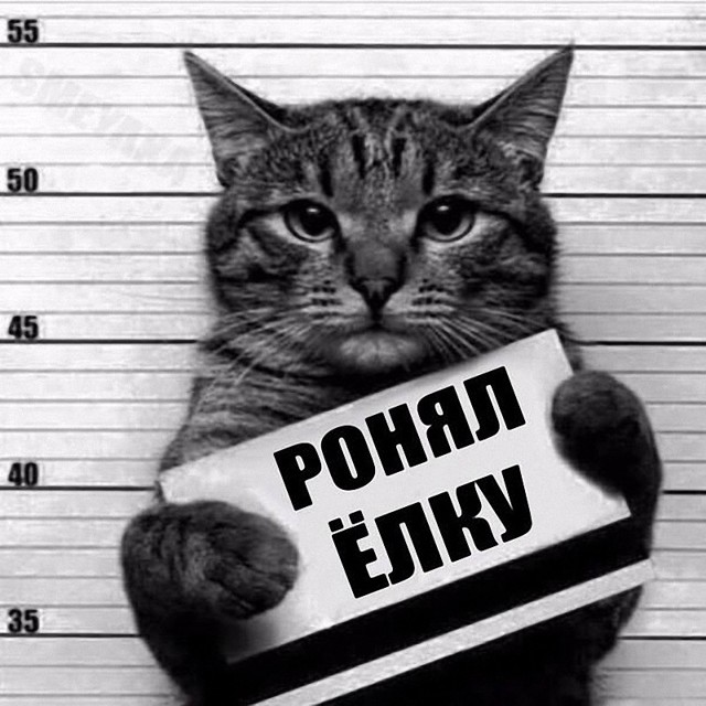 РАнял ЙОЛХУУУ...	