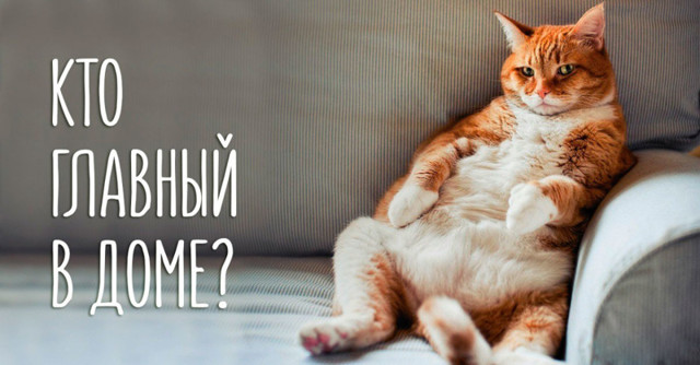 Нас поработили!