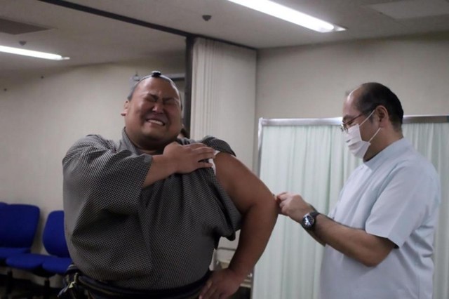 Как борцы сумо вздрагивают и кричат от боли во время прививки