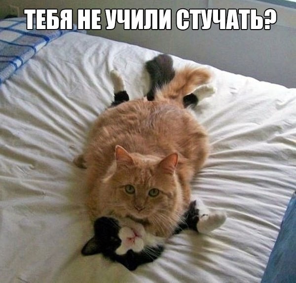 Картинки со смешными подписями