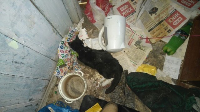 Некоторые люди совсем нелюди