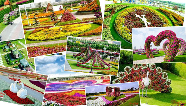 Сад чудес или Dubai Miracle Garden