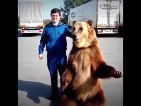Дима, фак!