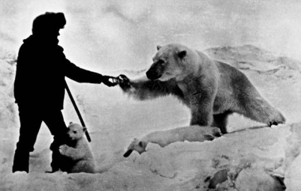  Дружба человека и белого медведя на снимках 1980-х 