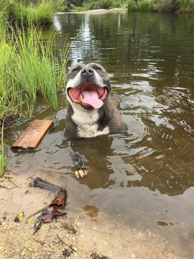 Немного разных и в свое время прикольных картинок из сети