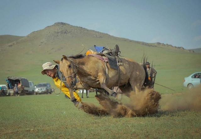 Лошадь в жизни монголов