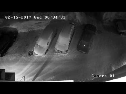 Пьяный новосибирец расстрелял свою соседку на парковке возле дома и забаррикадировался в квартире