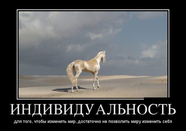 Подборка веселых демотиваторов