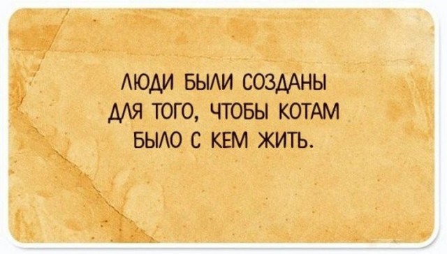 Шутливые открытки