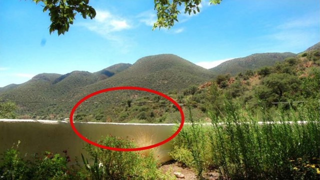 Эта головоломка сводила с ума миллионы людей! Что вы видите на этом фото?