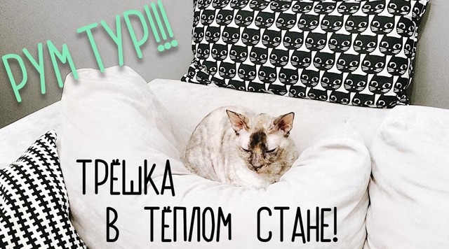 Как сделать квартиру уютной и современной
