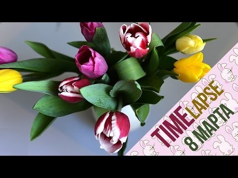 Что делали цветы 8 Марта? TimeLapse