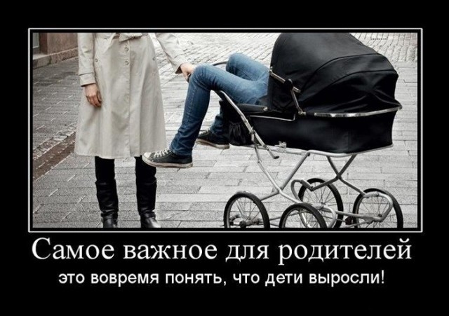 Весёлые картинки