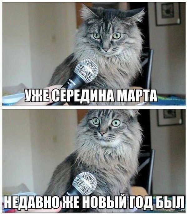 Картинки с надписями