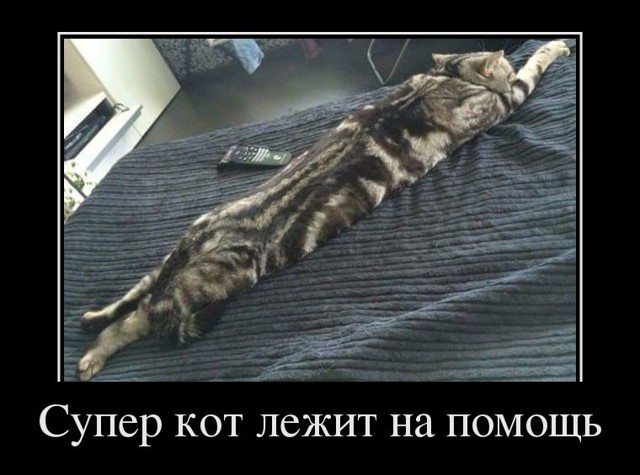  Подборка демотиваторов, которые поднимут вам настроение