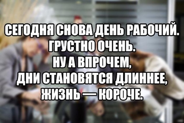 Прикольные картинки. Дневной выпуск