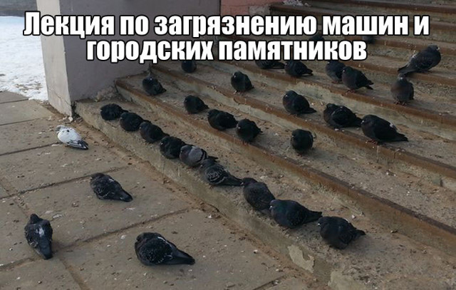 Просто интересные фотки