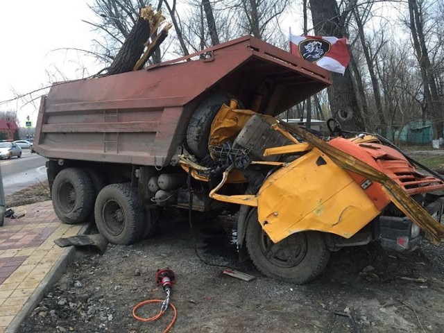 Авария дня. Упавшее дерево убило водителя КамАЗа и его пассажира