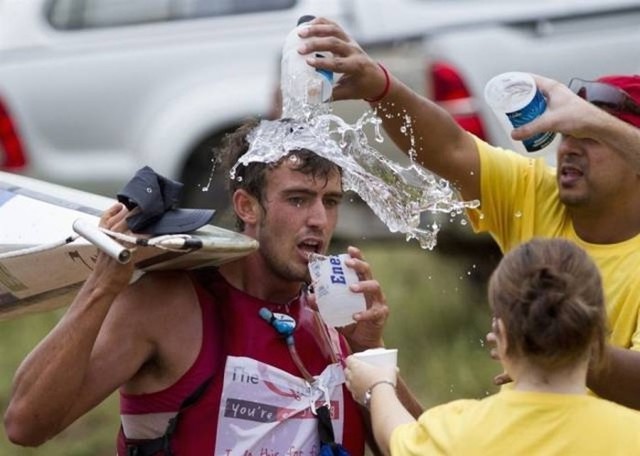 Подборка картинок. Дневной выпуск