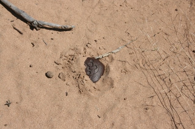 Гравицапа - найдена в пустыне Нью-Мексико близ городка Розуэлл