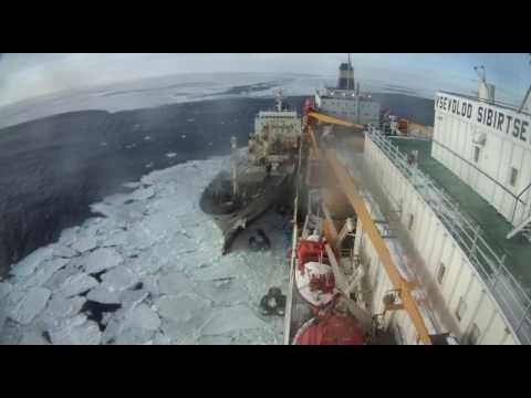 Швартовка судов. Транспорт идет на таран плавбазы