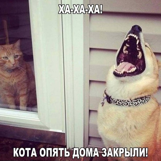 Для поднятия настроения