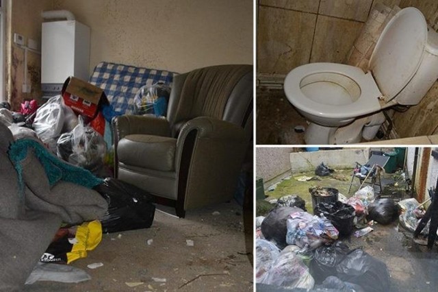 Хуже свиней: арендодатель попал на 5 тысяч фунтов за уборку после неопрятных жильцов