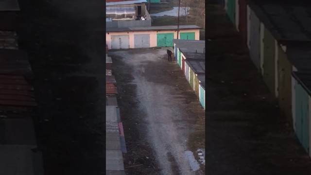 Сила привычки