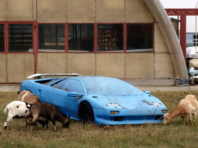 Автомобильные фотоприколы