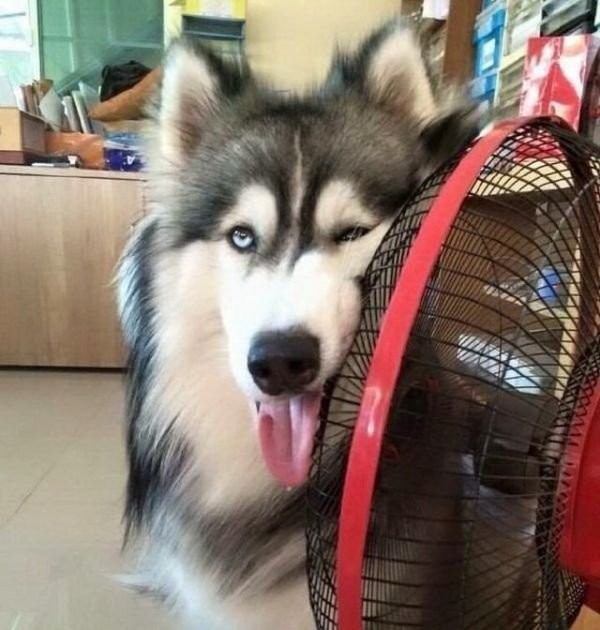 Летние приколы (34 фото)