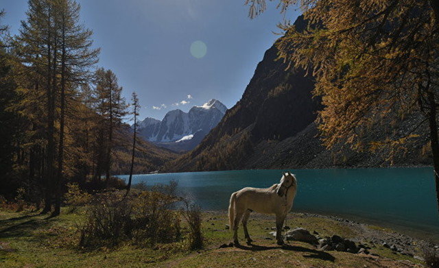 Путешествовать с «инсайдерской информацией»: десять советов для поездки в Россию, Der Spiegel