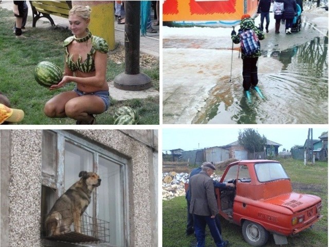 Забавные снимки с Российских просторов