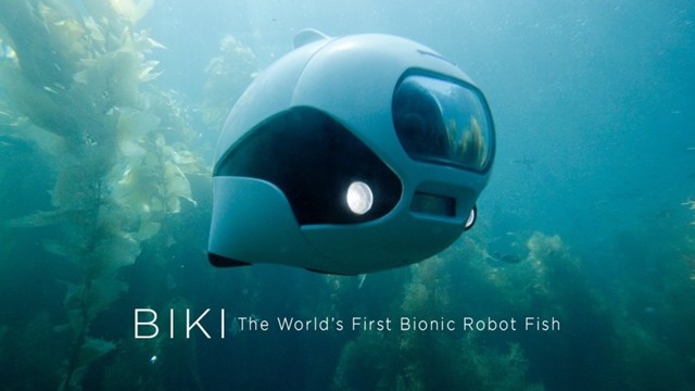 Встречайте: роботизированная рыбка-фотограф BIKI