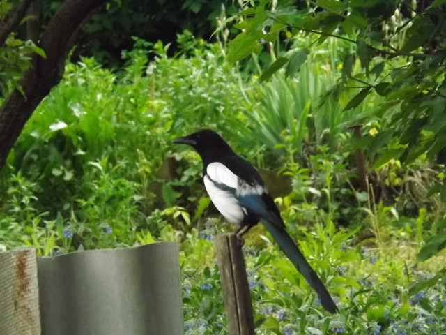 Вчера прогулялся по округе