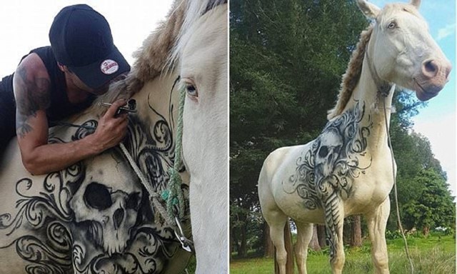 Тату-мастер дарит татуировки детям и лошадям