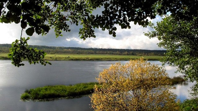С детства мы знаем, что Волга впадает в Каспийское море