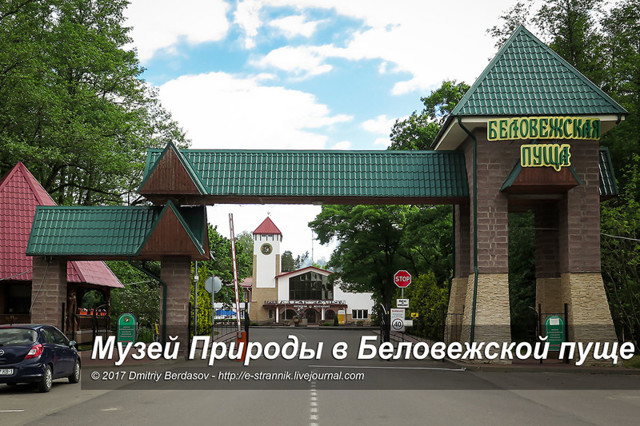 Музей Природы в Беловежской пуще